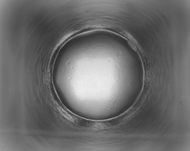 X0000079300787200612011748