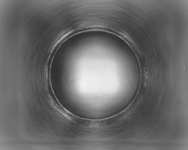 X0000079300790200612011748