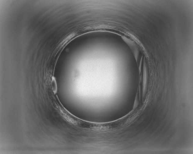 X0000079300793200612011748