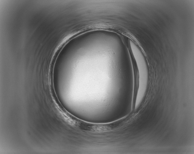 X0000079300795200612011748