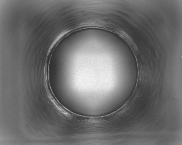 X0000079300796200612011748