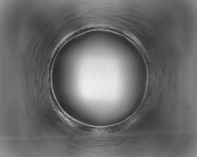 X0000079300799200612011748