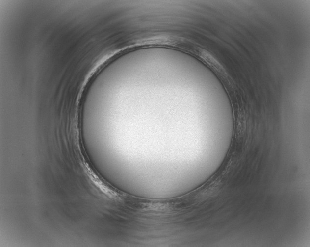 X0000079300800200612011748