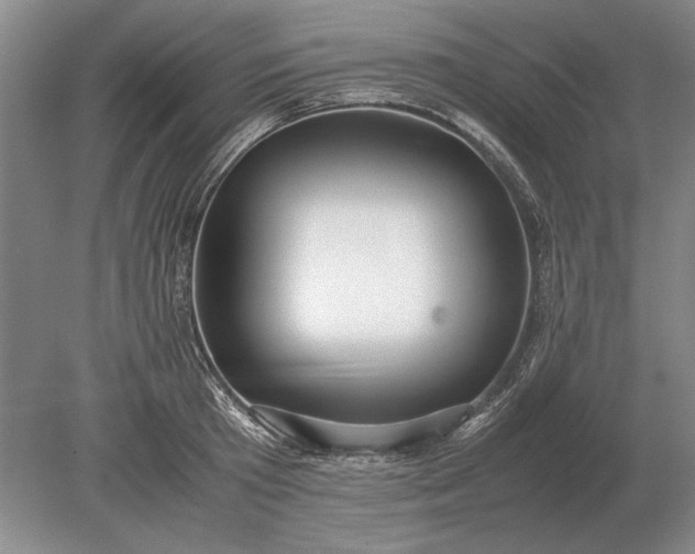 X0000079300801200612011748