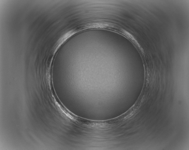 X0000079300802200612011748