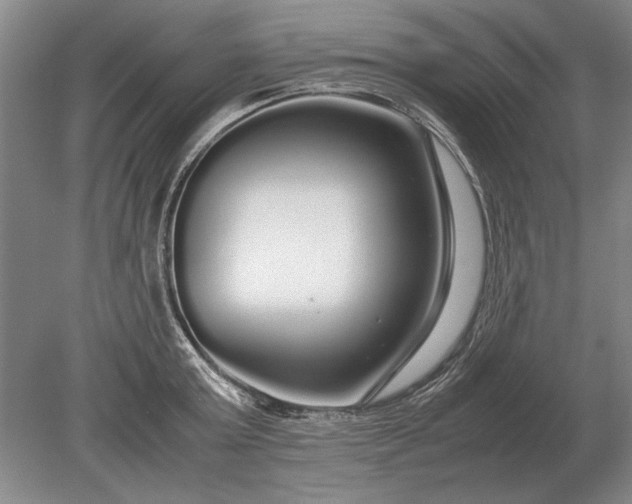 X0000079300803200612011748