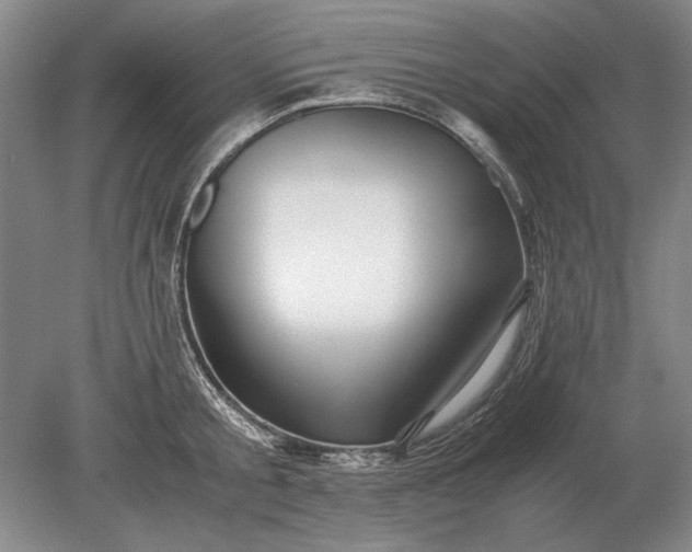 X0000079300805200612011748