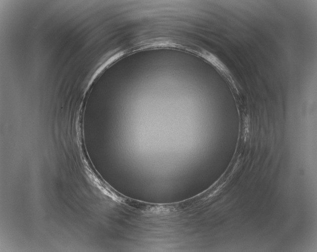 X0000079300806200612011748