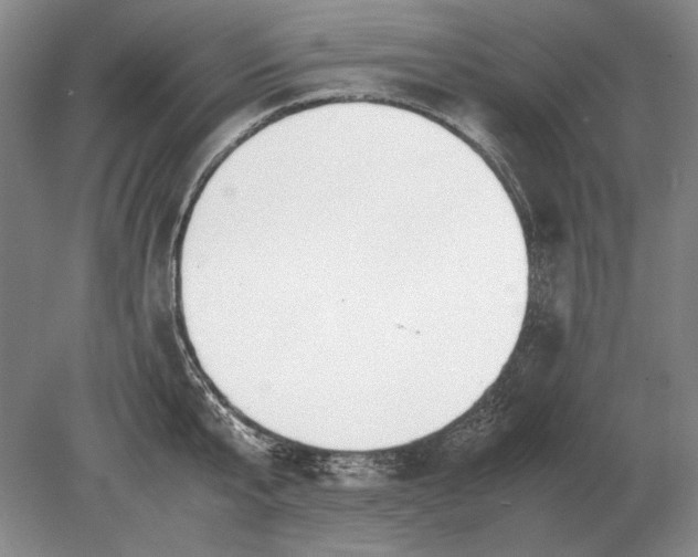 X0000079300807200612011748