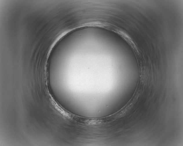 X0000079300808200612011748