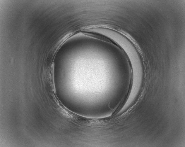 X0000079300809200612011748