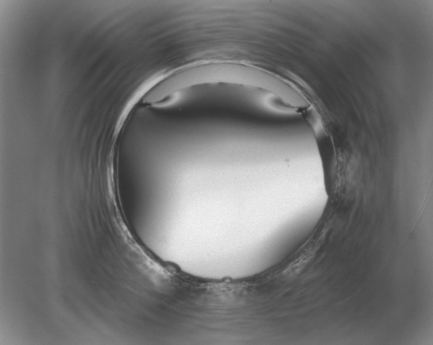 X0000079300812200612011748
