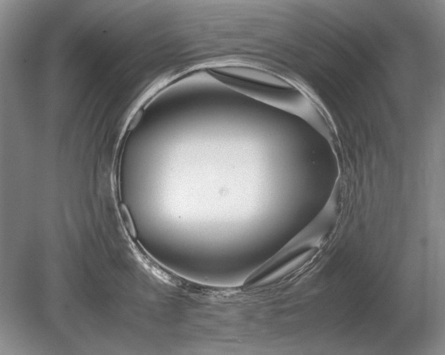 X0000079300813200612011748
