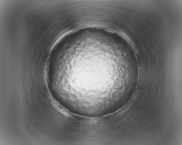 X0000079300814200612011748