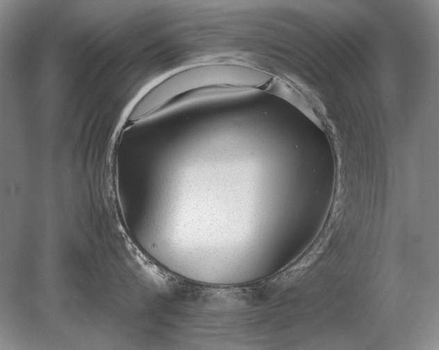 X0000079300816200612011748