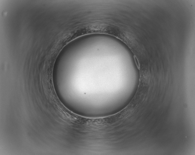 X0000079300817200612011747