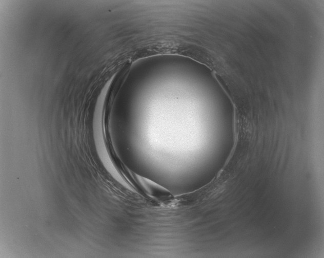 X0000079300818200612011747