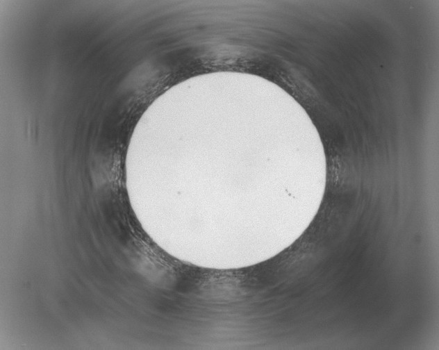 X0000079300820200612011747