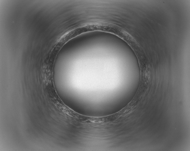 X0000079300822200612011747