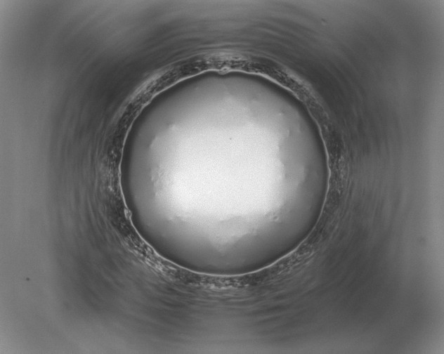 X0000079300823200612011747