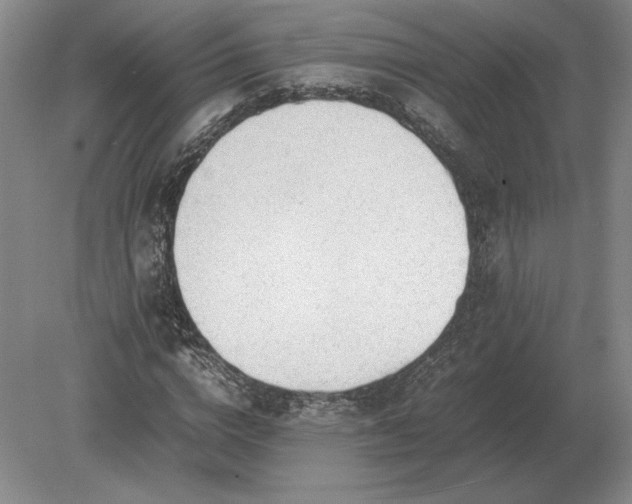 X0000079300824200612011747