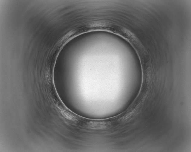 X0000079300825200612011747