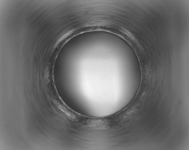 X0000079300826200612011747