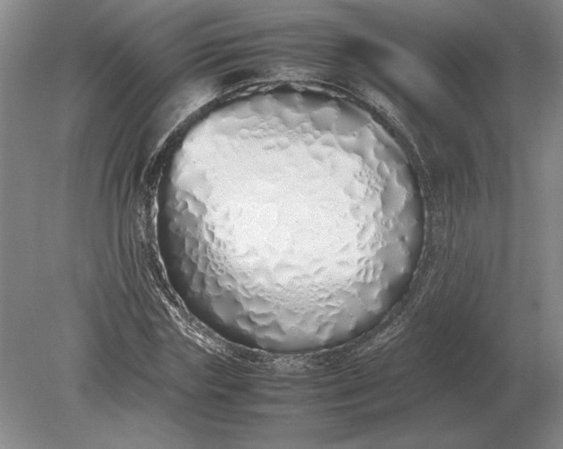 X0000079300827200612011747