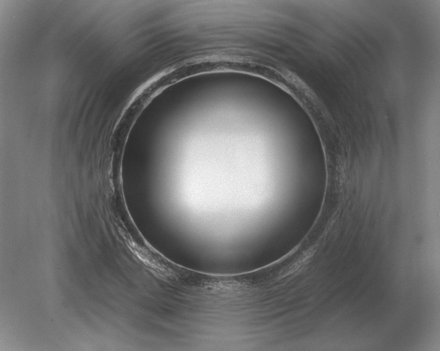 X0000079300830200612011747