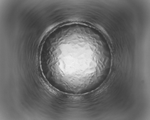 X0000079300831200612011747