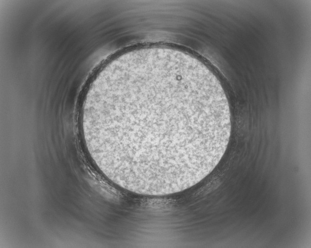 X0000079300832200612011747