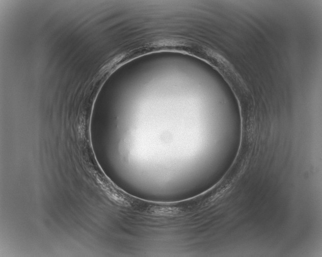 X0000079300833200612011747