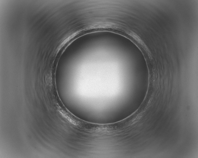 X0000079300834200612011747
