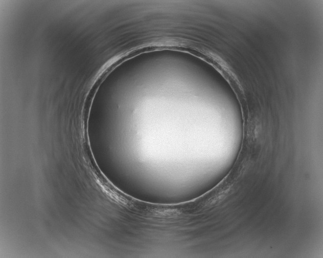 X0000079300837200612011747