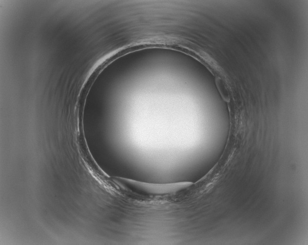 X0000079300838200612011747