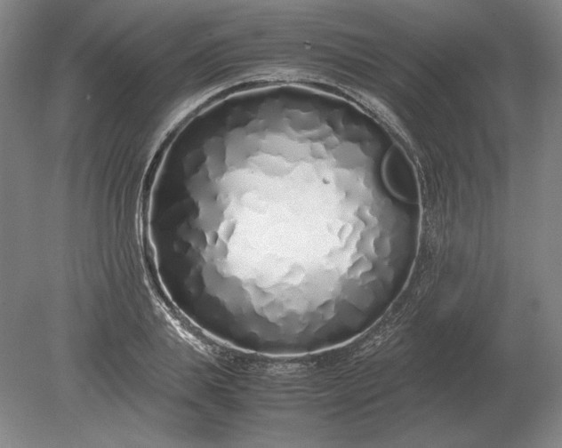 X0000079300839200612011747