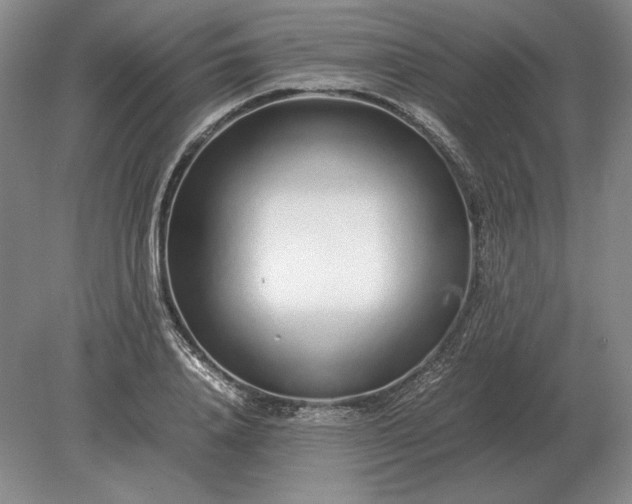 X0000079300840200612011748