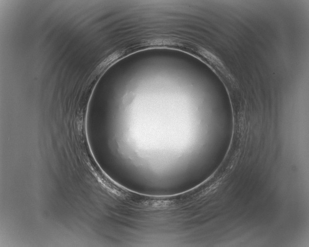 X0000079300841200612011748