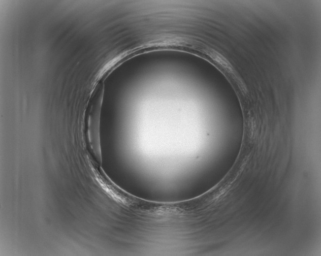 X0000079300842200612011748