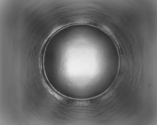 X0000079300843200612011748