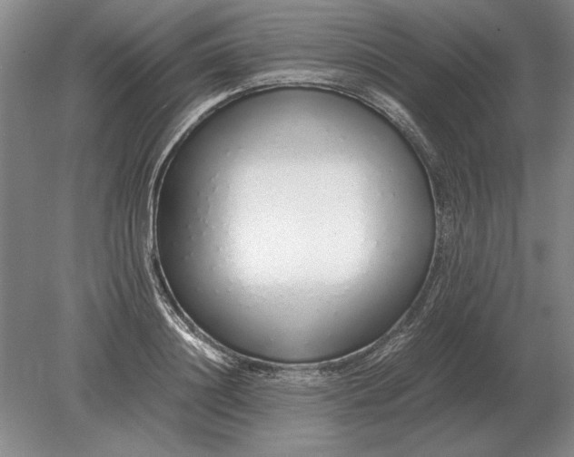 X0000079300844200612011748