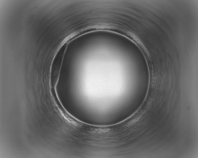 X0000079300845200612011748