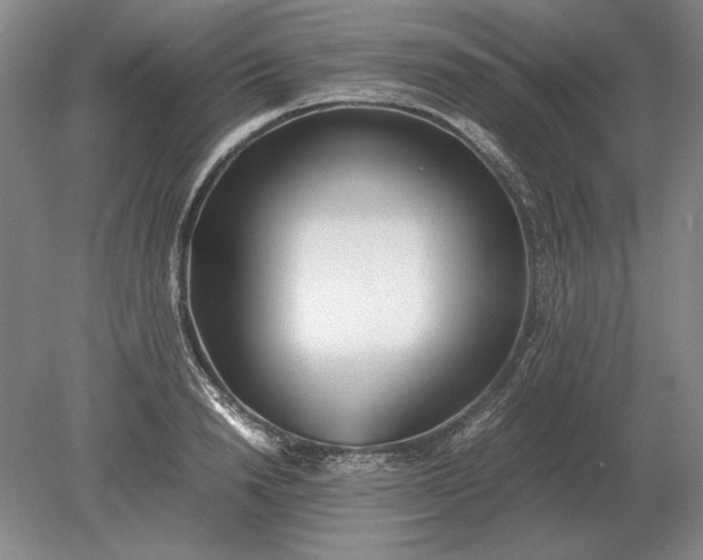 X0000079300846200612011748