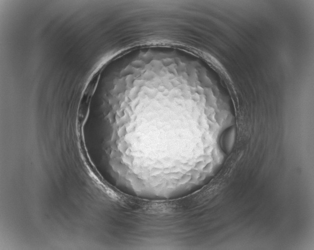 X0000079300847200612011748