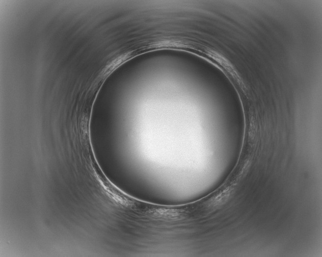 X0000079300849200612011748