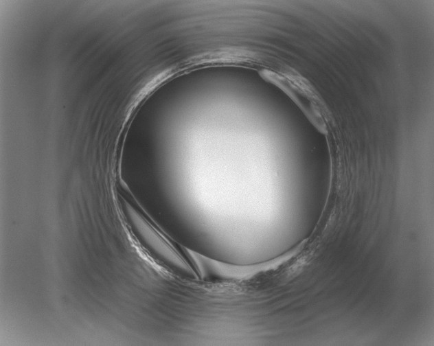 X0000079300850200612011748