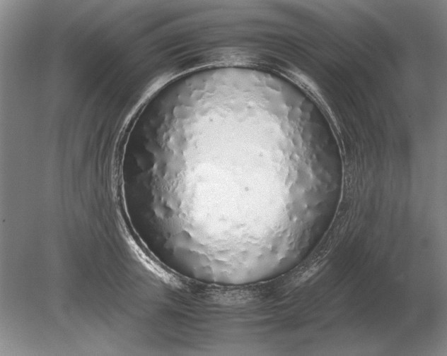 X0000079300851200612011748