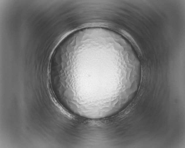 X0000079300852200612011748