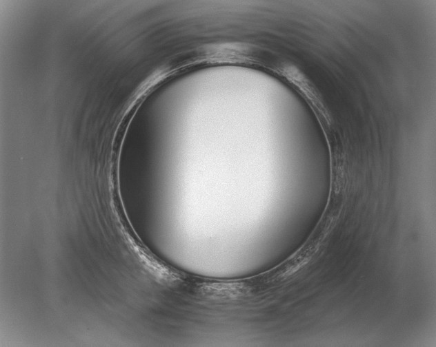 X0000079300853200612011748