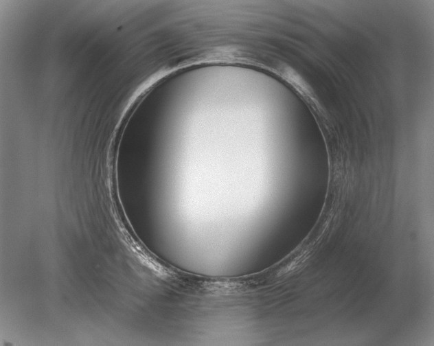 X0000079300854200612011748